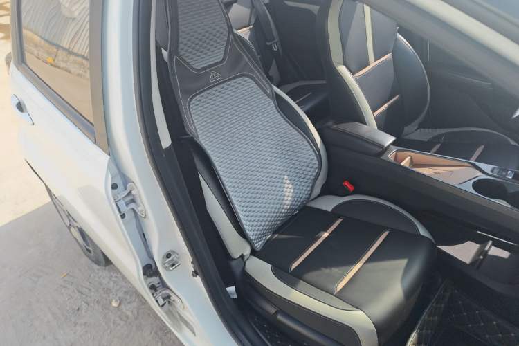 Used SOL E10X 2022 Flower Fairy Style Baby's Breath Right Front Seat