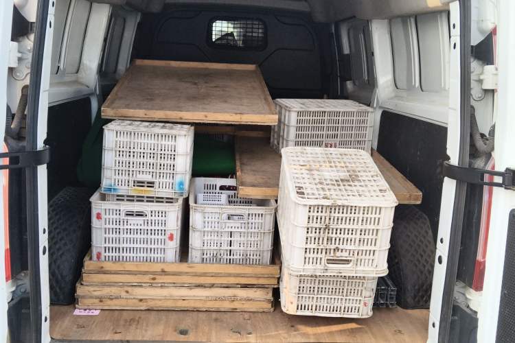 Used Ford Transit 2019 2.0T Diesel Van Mid-Chassis Mid-Roof 3-Seater China VI Standard
