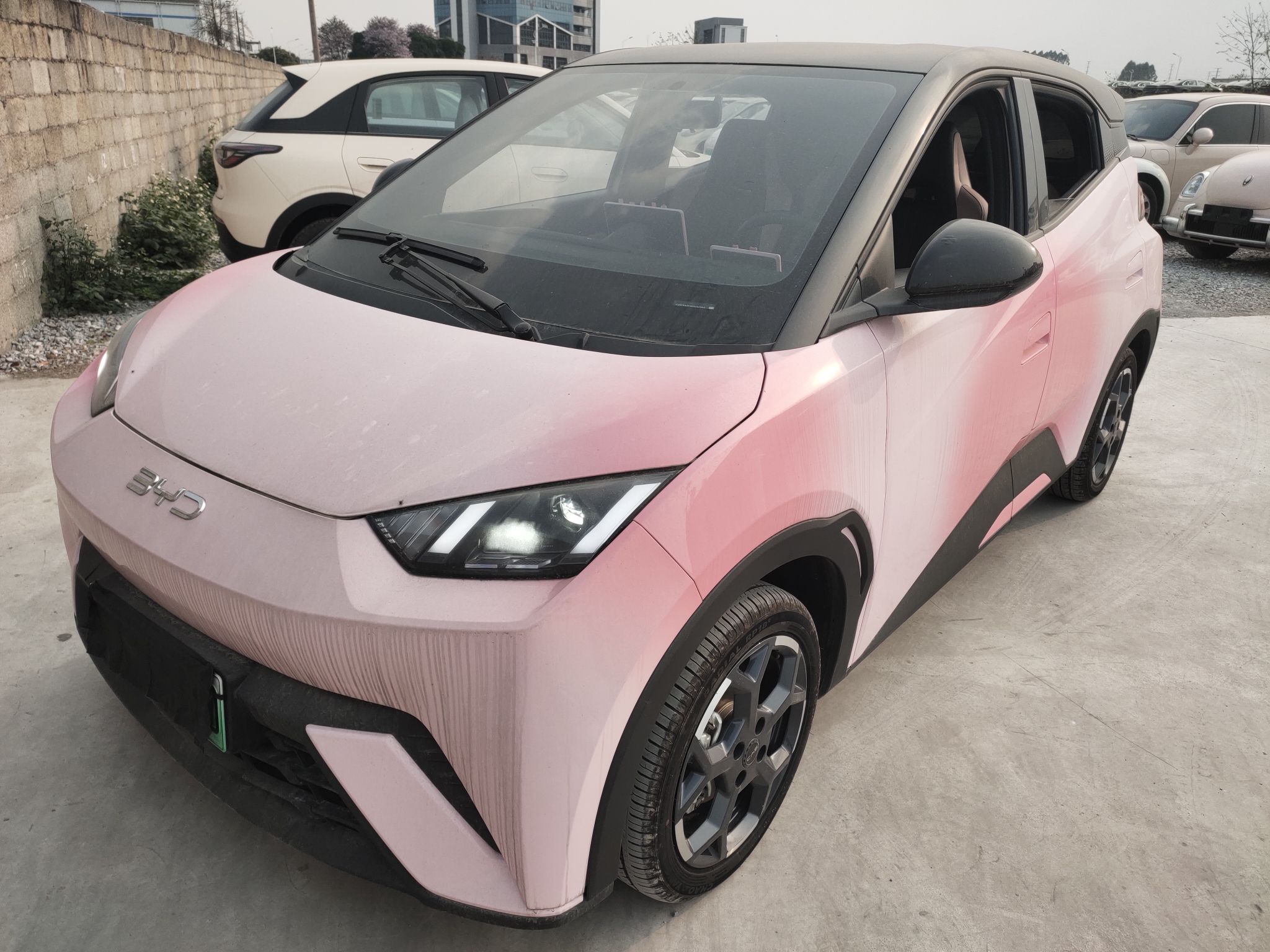 Parte inferior delantera