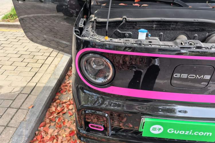 Used Geely Galaxy Panda 2025 210km Panda Kart
