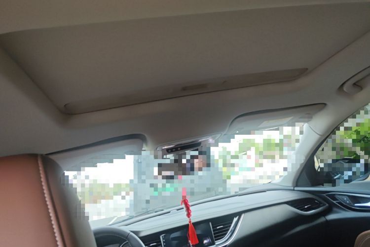 Used Buick Regal 2019 20T Elite Version China VI Standard Headliner