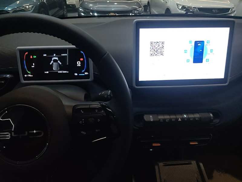 Used BYD Seagull 2023 Free Edition — 9