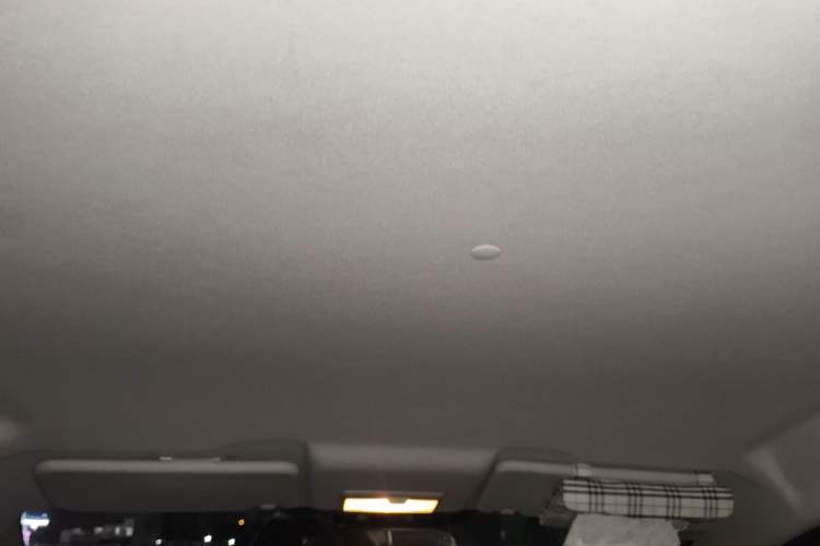 Used Oshan Benni E-Star 2020 Heart Edition Lithium Iron Phosphate (31.18 kWh)