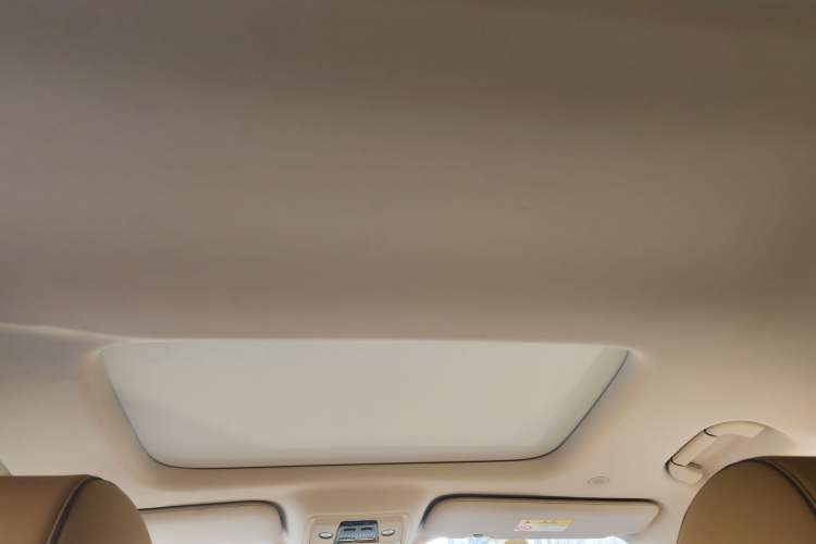 Used Denza D9 2023 DM-i 945 Business Edition Headliner