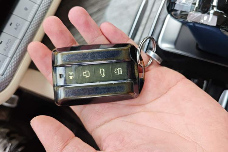 Used Tank 500 2022 3.0T Sport Edition "Creation" Version 5-Seater
