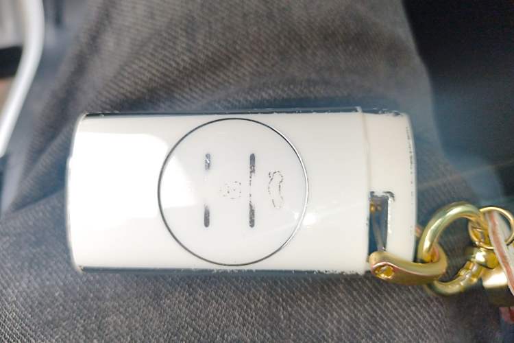 Used Chery Tiggo 5x 2025 1.5L CVT Excellence Edition Vehicle Key