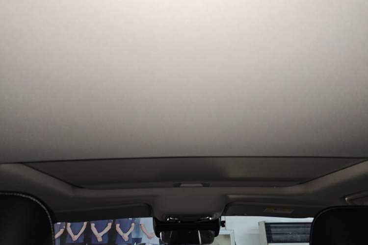 Used Tank 300 2022 2.0T Border Limited Edition Headliner