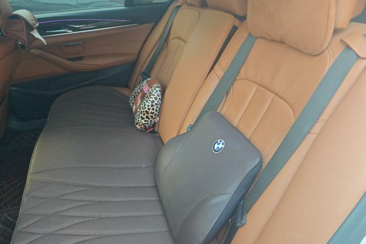 Used BMW 5 Series 2018 530Li Leading Model M Sport Package
