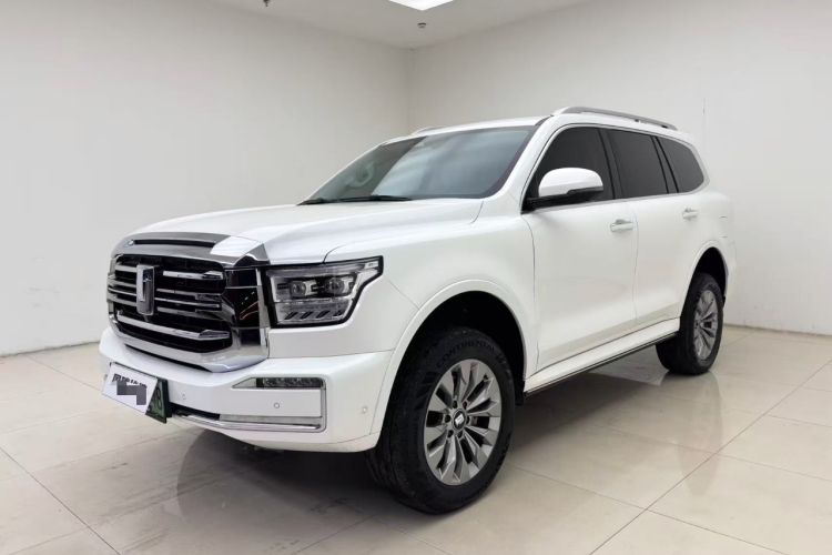 Used Tank 500 New Energy 2024 Hi4-T