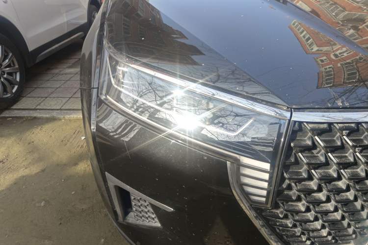 Used Venucia Star 2020 260T Automatic XingShang Edition