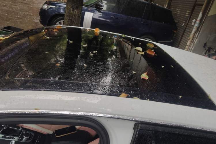 Used Audi A3 2019 Sportback 35 TFSI Fashion Edition China V
