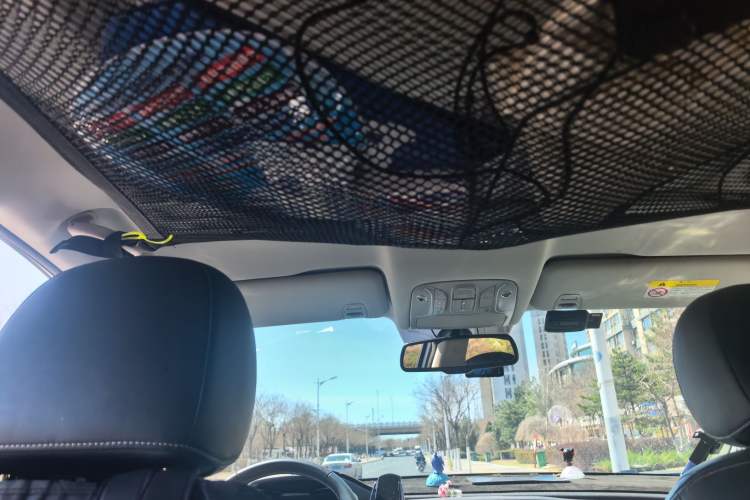 Used GAC Trumpchi GS8 2020 GS8S 390T Two-Wheel Drive Luxury Smart Connectivity Version Headliner