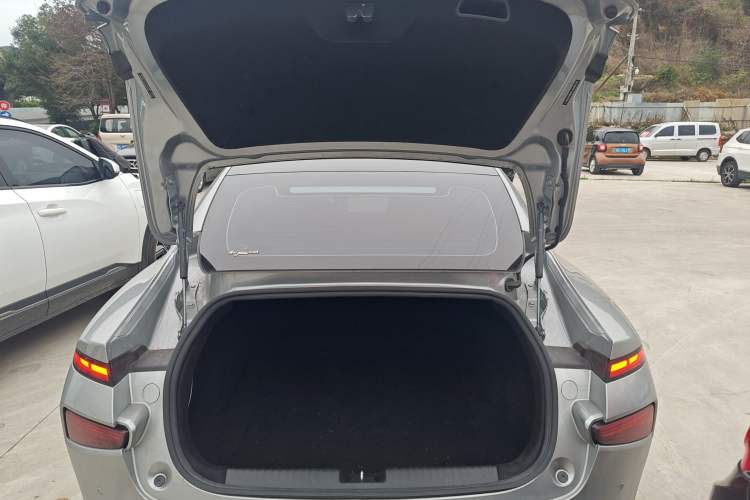 Used XPeng P7 2020 586N
