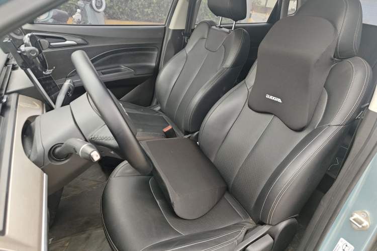 Used NETA V 2021 Long-Range Entertainment Edition Upgrade Model
