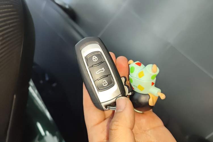 Used Geely Galaxy Panda 2024 Panda Mini 200km Endurance Bear