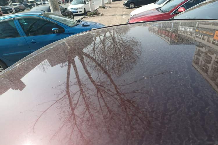 Used Kia Forte 2014 1.6L MT GL
