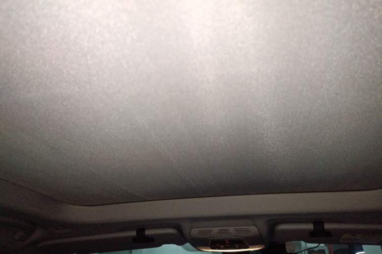 Used BMW X1 2020 sDrive25Li Leading Model Headliner