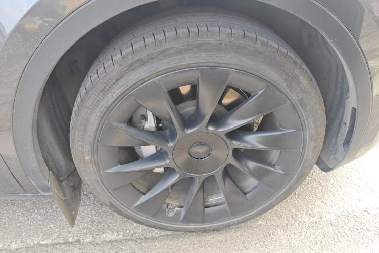 Used Tesla Model Y 2021 Standard Range Rear-Wheel Drive Version