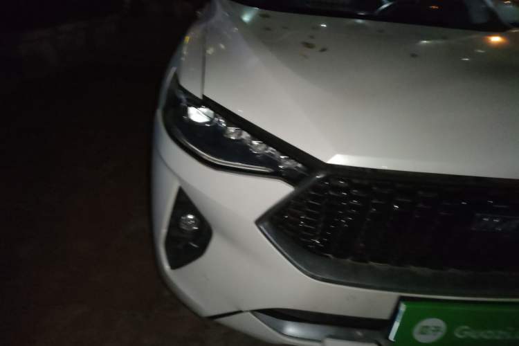 Used Haval F7 2019 2.0T Two-Wheel Drive i-Van China V standard