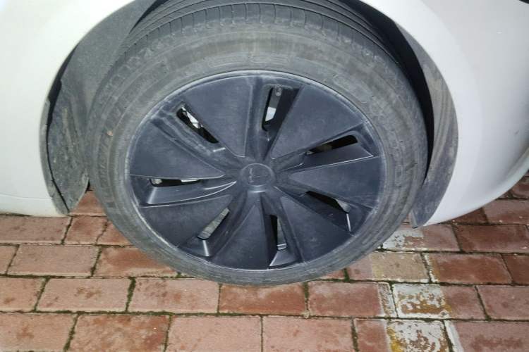 Used Tesla Model 3 2023 Rear-Wheel-Drive Version Exterior 7