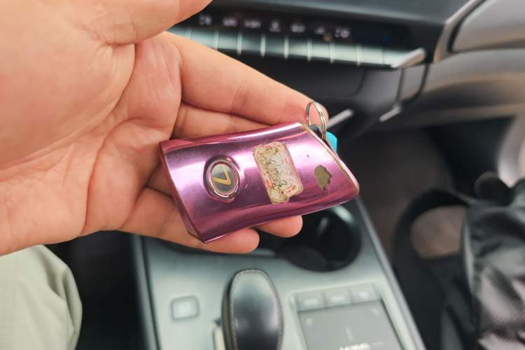 Used Lexus UX New Energy 2020 300e Pure·Joy Edition
