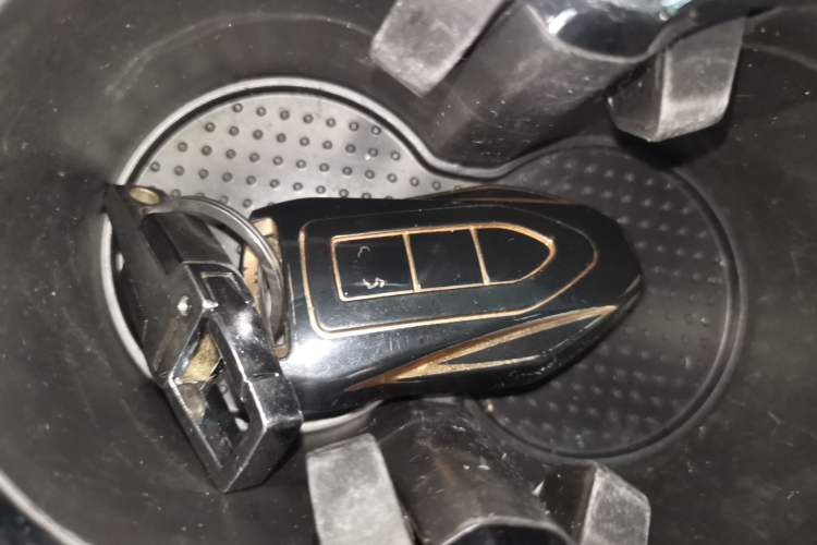 Used Leopaard CS9 2017 1.5L CVT Fashion Edition