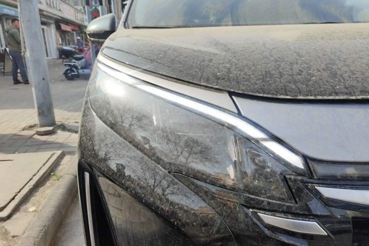 Used BYD Xia 2025 DM-i 1.5T 180km Excellence Model
