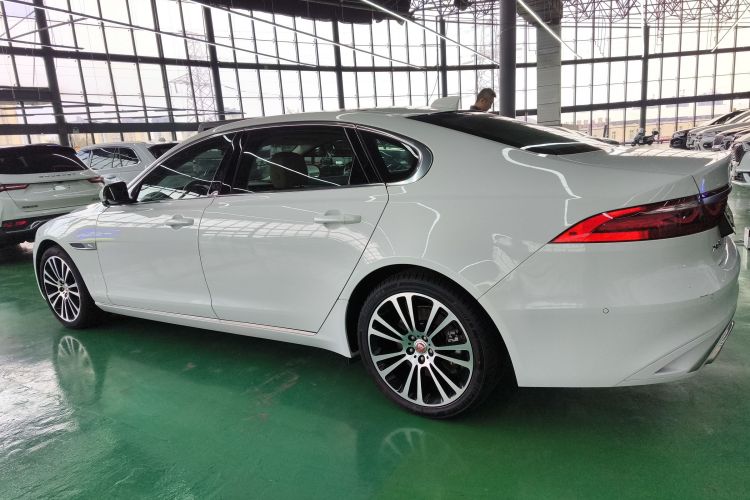 Used Jaguar XFL 2024 2.0T P250 Two-Wheel Drive Prestige Luxury Edition