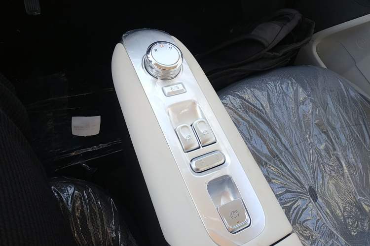 Used Qiyuan Lumin 2025 205 km Xiangqin Version