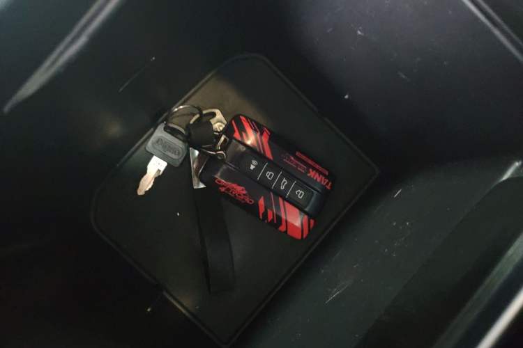 Used Tank 300 2023 City Edition 2.0T—Stylish as Ever
