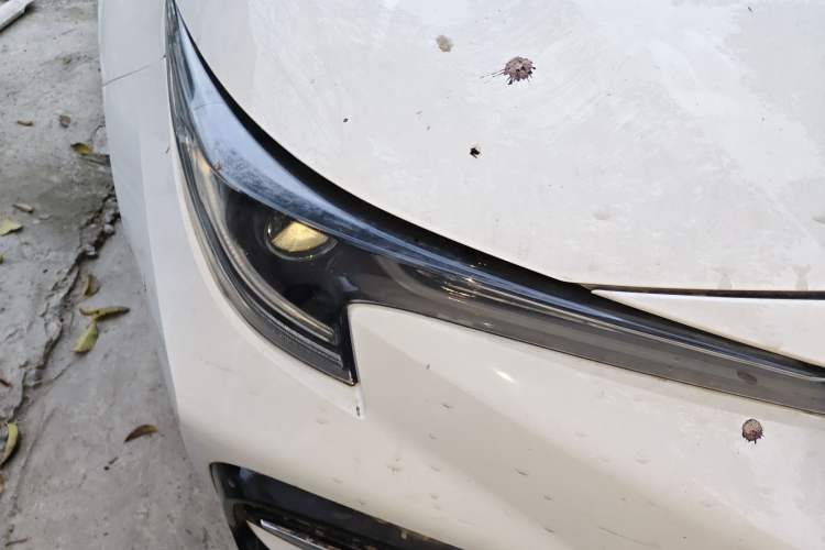 Used Toyota Levin 2022 Dual-Motor 1.8H E-CVT Sport Edition Right Front Headlight