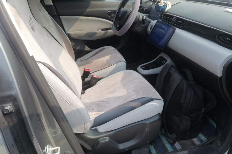 Used Leapmotor T03 2022 Hometown Jade Edition Right Front Seat