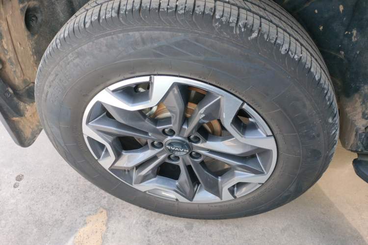 Used Haval DARGO 2024 2.0T DCT Chinese Rural Dog Edition
