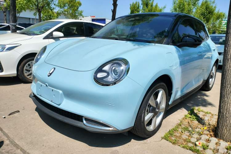 Used ORA Good Cat 2022 Morandi Edition 400km Standard Range Premium Version Lithium-Ion Battery