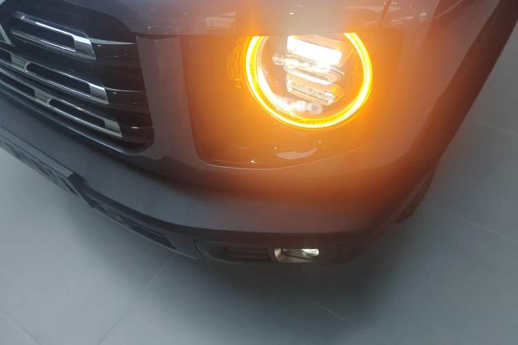 Used Haval DARGO 2021 2.0T DCT 4x4 Chinese Rural Dog Edition