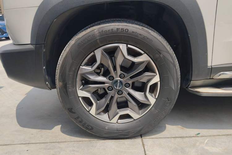 Used Haval DARGO 2021 2.0T DCT 4x4 Chinese Rural Dog Edition