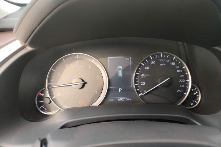 Used Lexus RX 2020 300 4x4 Elegant Edition China VI