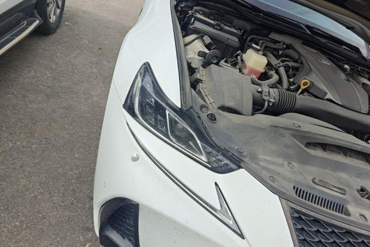 Used Lexus IS 2017 300 F SPORT Edition