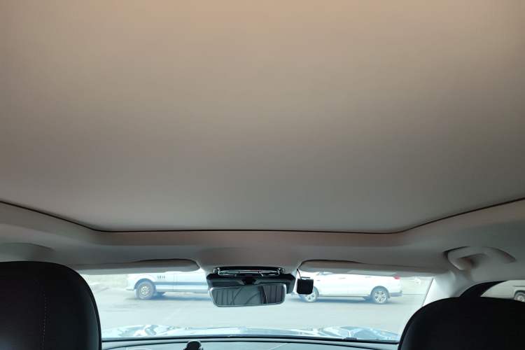 Used Chery Tiggo 9 2023 Updated Version 2.0T Dual-Clutch Two-Wheel Drive Leading Edition 5 Seats Headliner