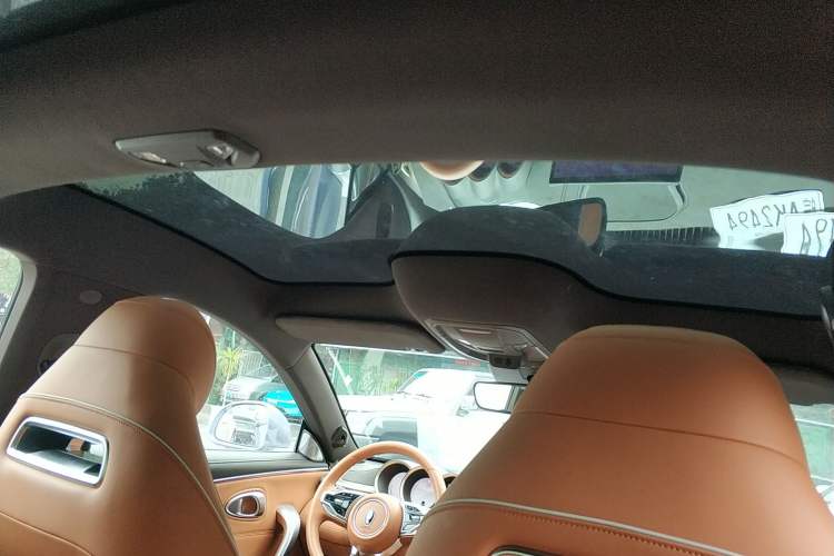 Used ORA Lightning Cat 2022 555 km Luxury Edition Headliner