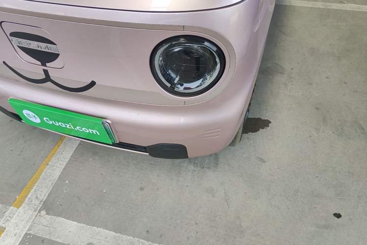 Used Geely Galaxy Panda 2024 Panda Mini 200km Endurance Bear