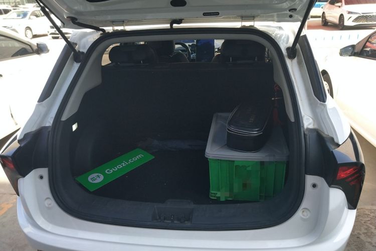 Used NETA V 2021 Long-Range Entertainment Edition Upgrade Model