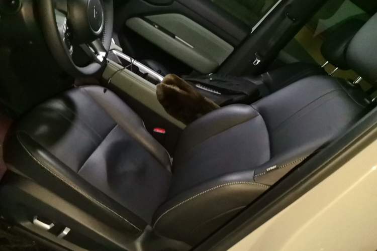 Used Baojun Spark EUV 2026 301km Flagship Edition Left Front Seat