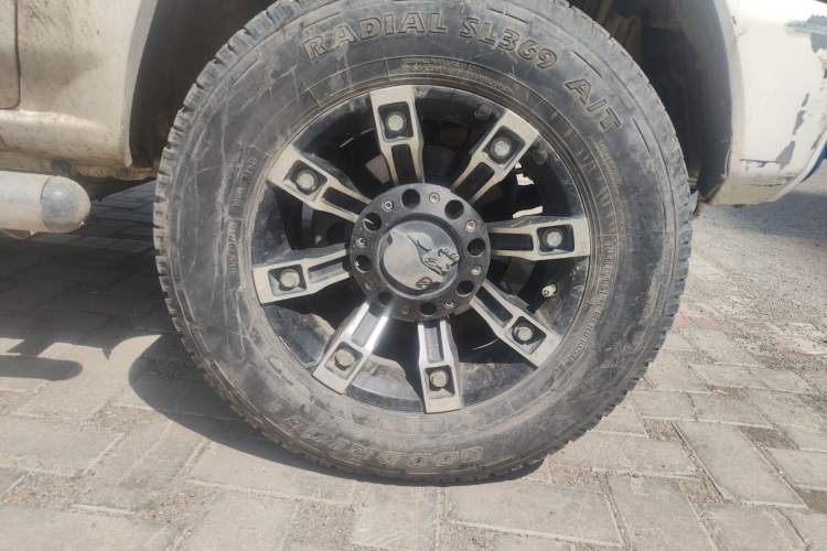 Used Leopaard Feiting 2009 2.0L 4x4 Standard Edition
