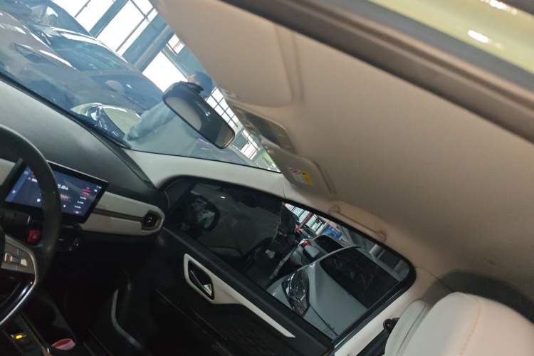 Used SOL E10X 2022 Flower Fairy Design Four-Leaf Clover Headliner