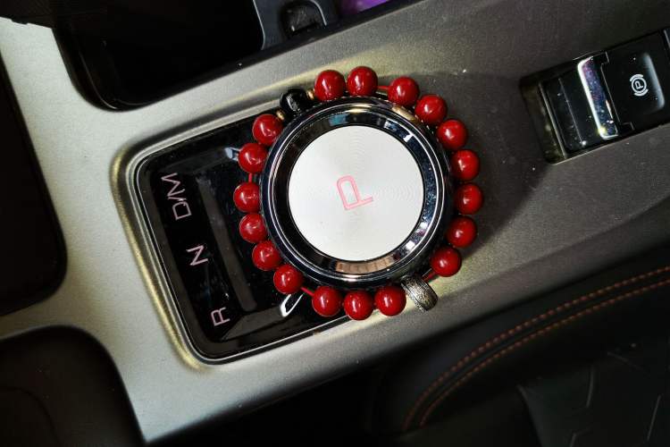 Used Haval DARGO 2024 2.0T DCT Chinese Rural Dog Edition
