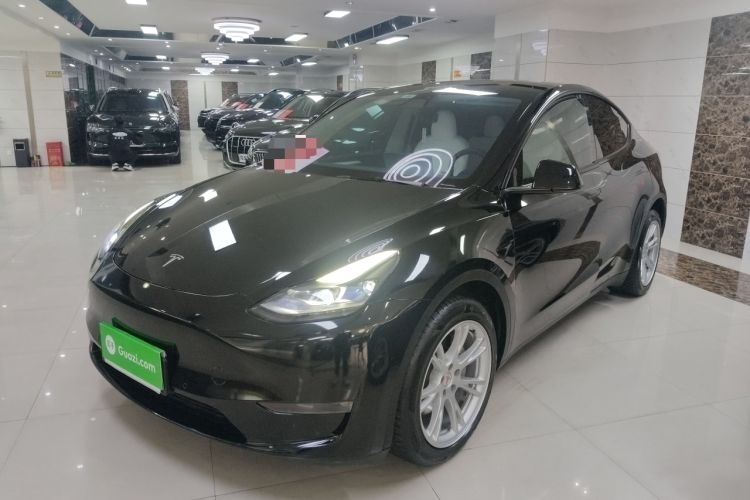 Used Tesla Model Y 2021 Long-Range All-Wheel-Drive Version 3D7
