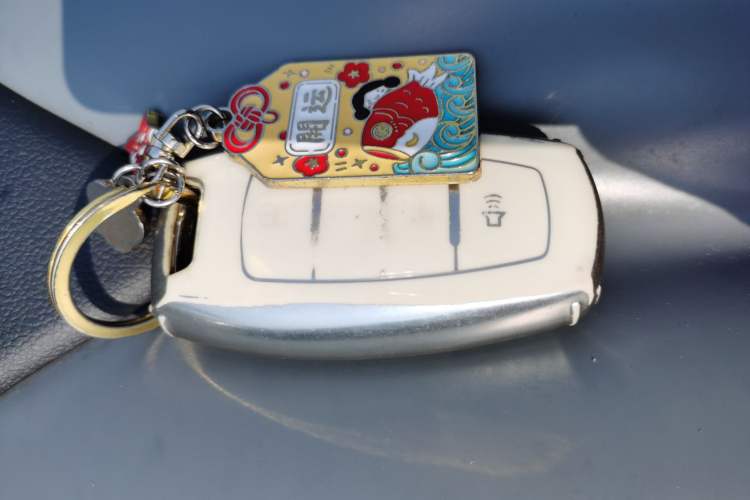 Used ORA Black Cat 2021 301km Cute Pet Edition Vehicle Key