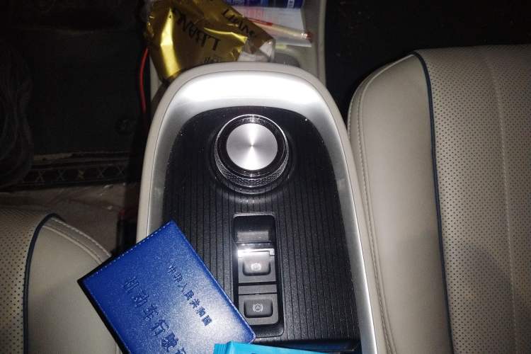 Used ORA Good Cat 2022 Morandi Edition 400km Standard Range Premium Version Lithium-Ion Battery