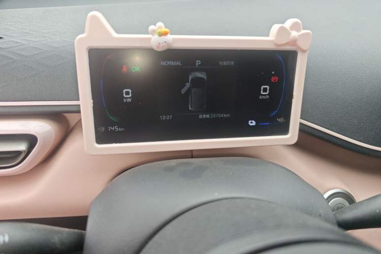 Used BYD Seagull 2025 305 km Free Version Odometer Close Up